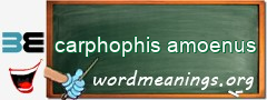 WordMeaning blackboard for carphophis amoenus